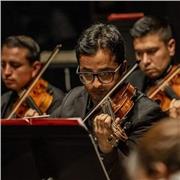 Maestro particular de música (piano y violín)